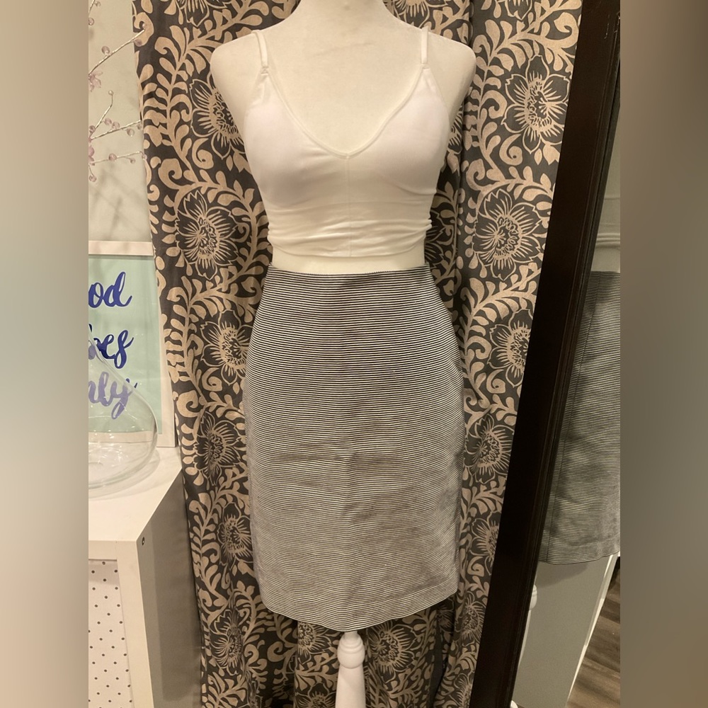 Pencil Skirt Talbots